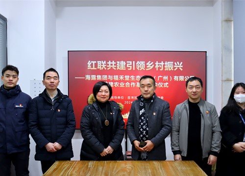 红联共建引领村落振兴，党建促业务深度融合