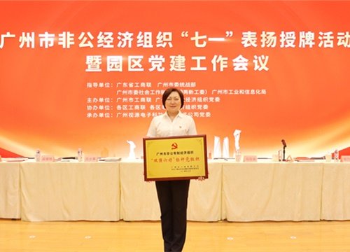 标杆引领，荣誉升级！集团党支部荣膺广州市非公有造经济组织“双强六好”标