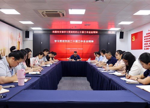 集团党支部进建贯彻党的二十届三中全会心灵暨接管预备党员大会