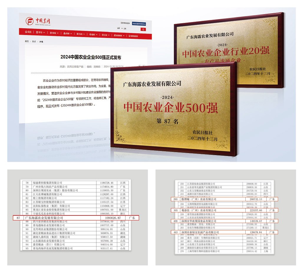 1-2412240943523B Z6·尊龙「中国区」官方网站