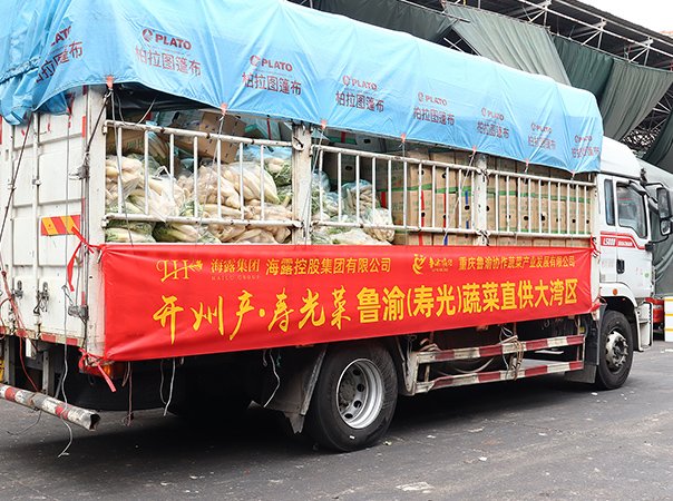 渠路赋能，集团助力沉庆开州蔬菜首发直供大湾区
